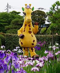 ほりきりん