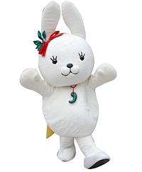 こくぴょん