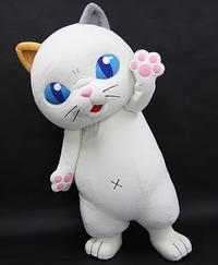 タマ川　ヨシ子(猫)