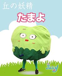 たまよ