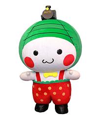 もおかぴょん