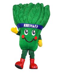 ひだのほうちゃん