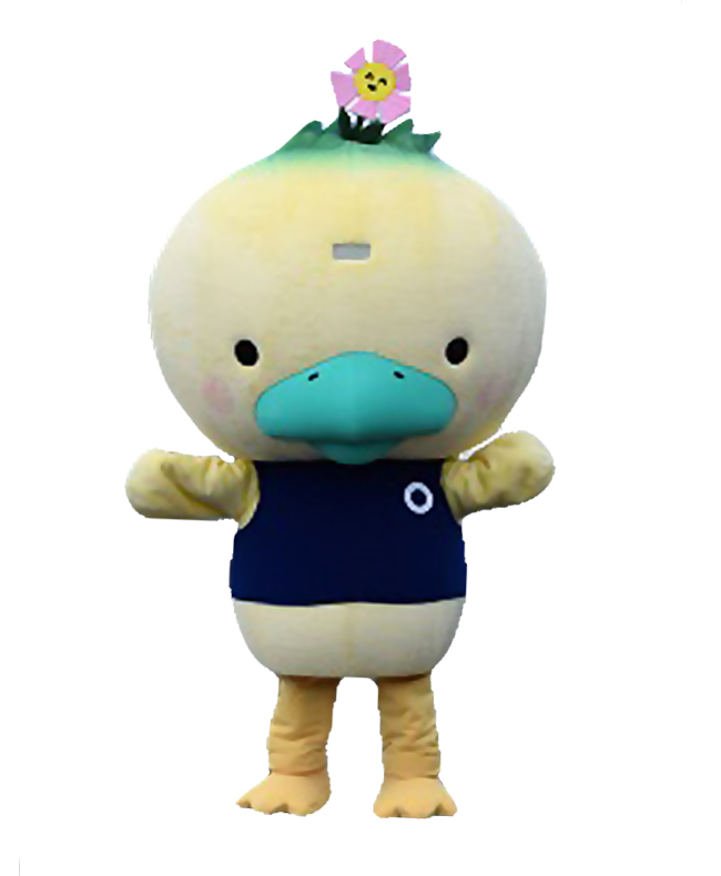 うわカモン