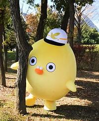 ふじもっち