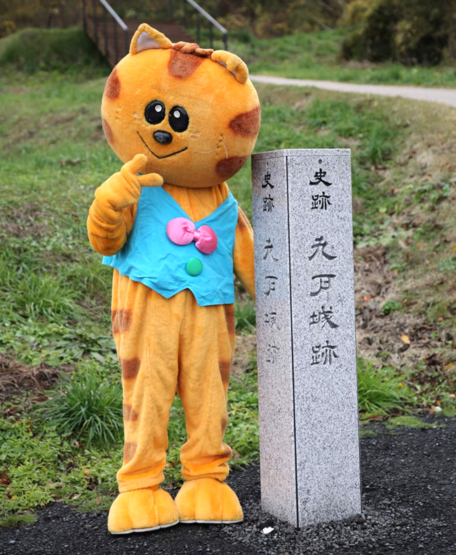 浄法寺のねこ