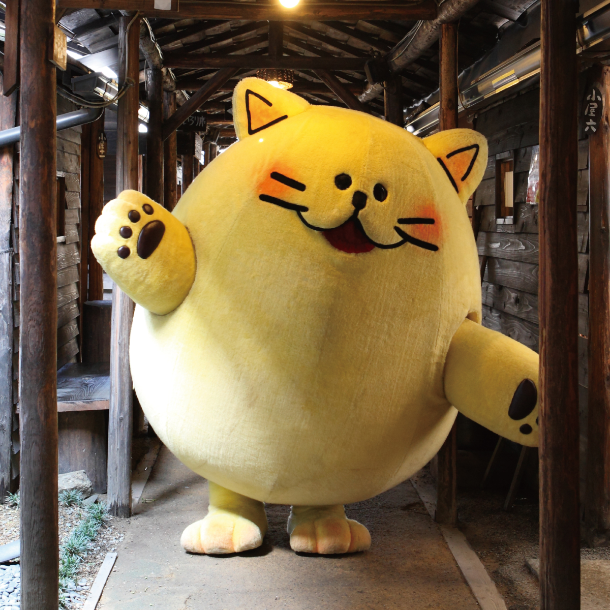 のらちゃんの詳細情報 | ゆるナビ