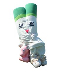 十和田ねぎん