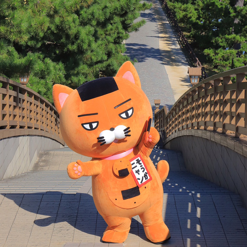 そうかニャン | ゆるナビ