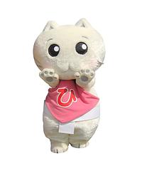 ひらにゃんこ
