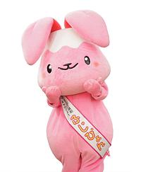 ふじぴょん