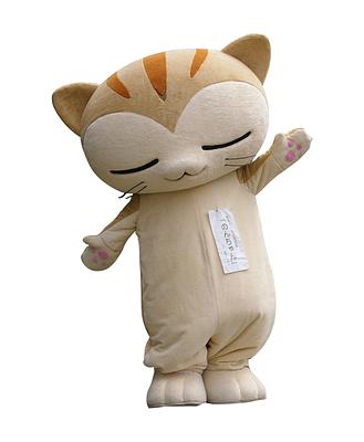 尾曲り3兄弟 のんちゃんの画像