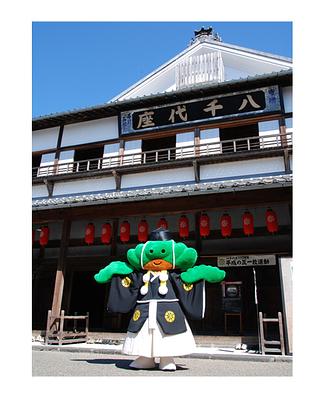 チヨマツの画像
