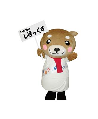 しばっくすの画像