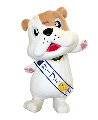 サーブの画像