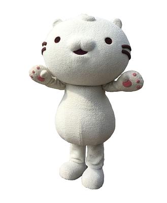 麻吉貓の画像