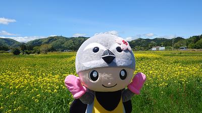 とみっぴーの画像