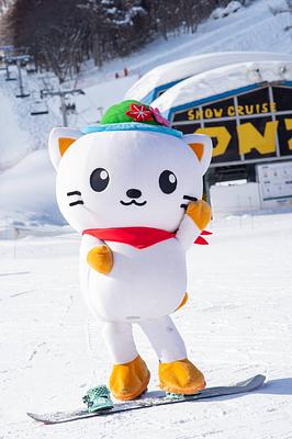 しむかっぴーの画像