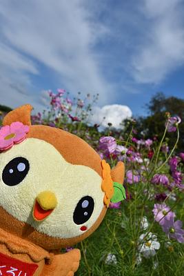 袋井市キャラクター「フッピー」の画像