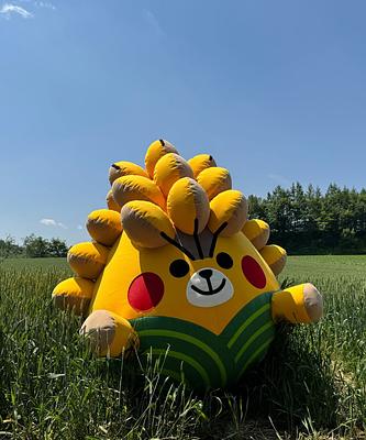 こむぎんの画像
