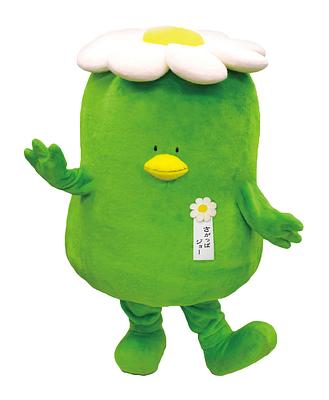さがっぱ・ジョーの画像