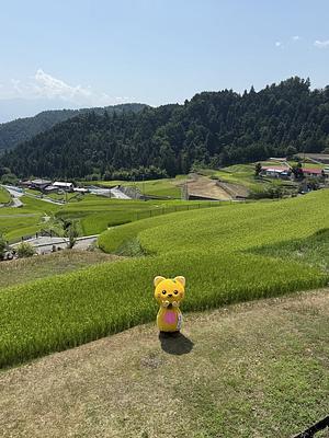 ゆずにゃんの画像