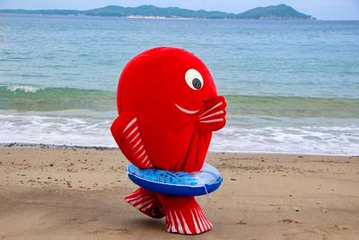 たいみーの画像