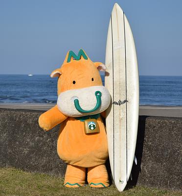 みやだいもうくんの画像