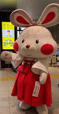 ミコぴょんの画像