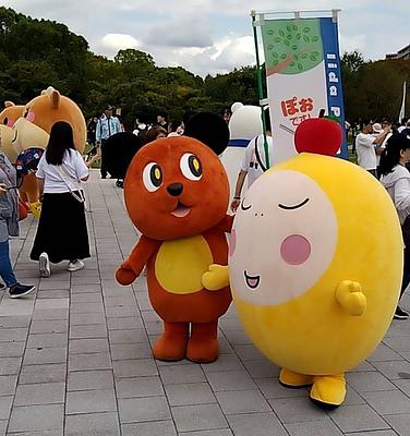 ぽぉの画像