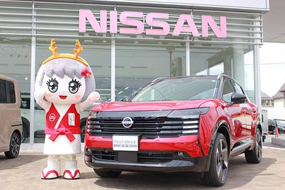 ならにちこちゃんの画像