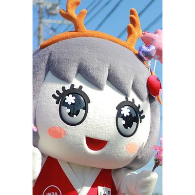 ならにちこちゃんの画像