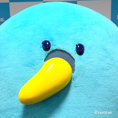 かもめのサニーの画像