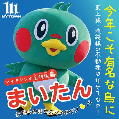 まいたんの画像