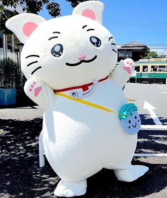 かまにゃん🐾の画像