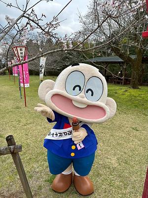 ぼんちくんの画像